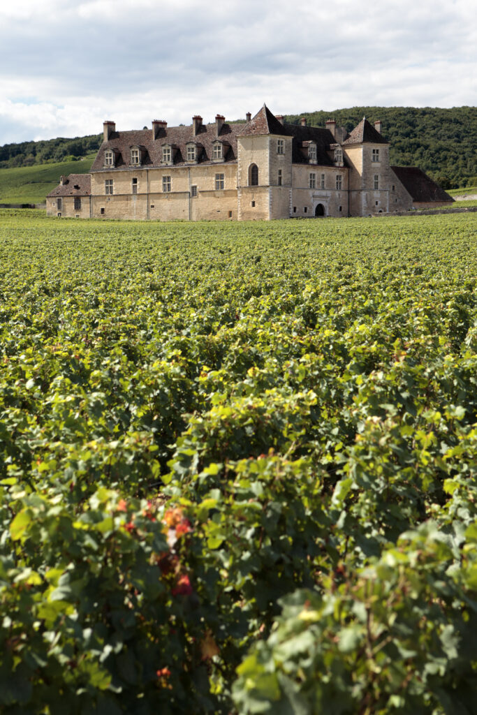 vineyard chateau burgundy, france